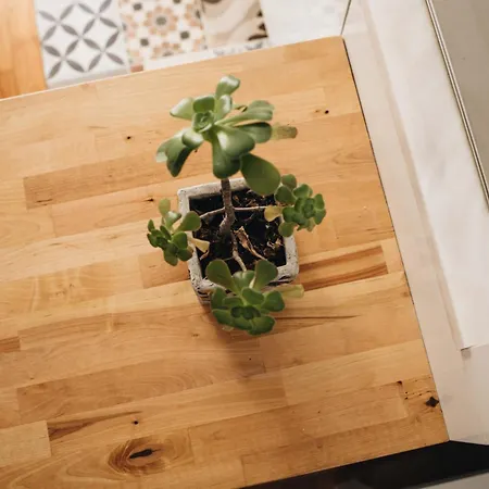 Cozy 1-bedroom With Private Terrace In Palmela Порту