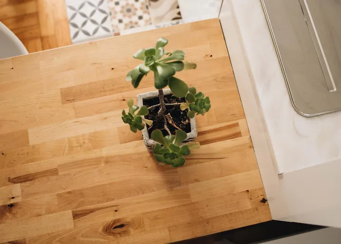 Cozy 1-bedroom With Private Terrace In Palmela Porto